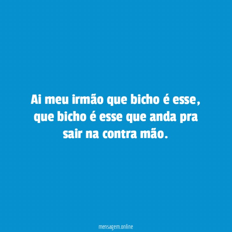 Ai meu irmão que bicho é esse