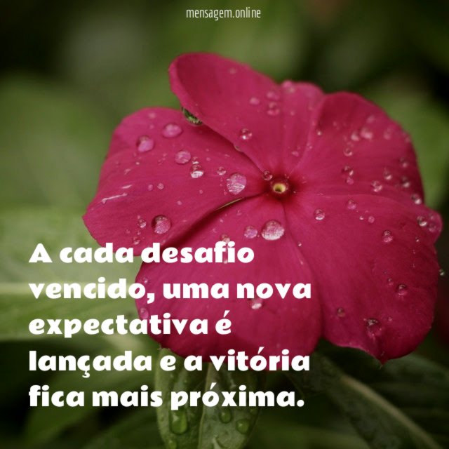 A cada desafio vencido