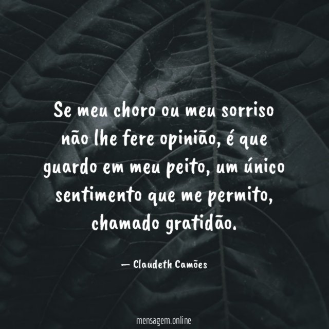 Se meu choro ou meu sorriso não lhe fere opinião