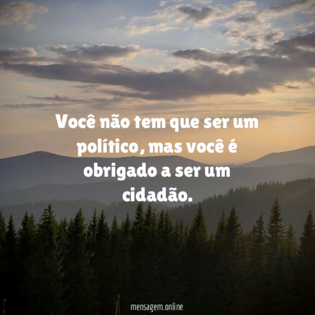 Você não tem que ser um político