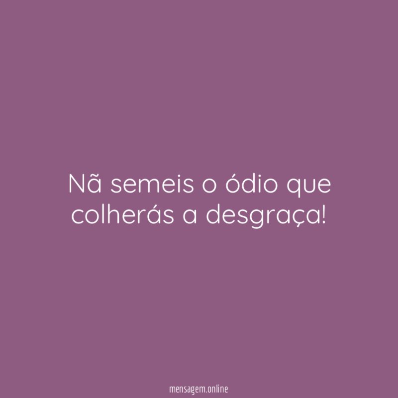 Nã semeis o ódio que colherás a desgraça