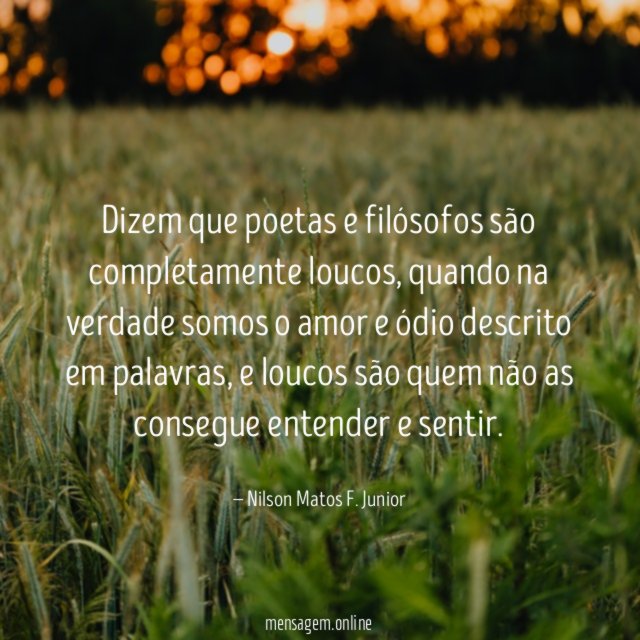 Dizem que poetas e filósofos são completamente loucos