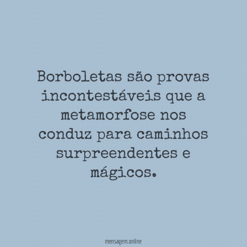 Borboletas são provas incontestáveis que a metamorfose nos