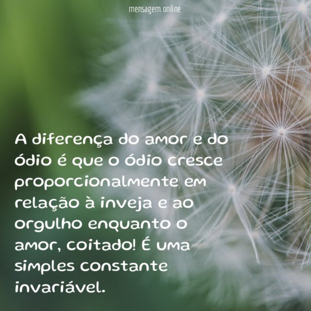 A diferença do amor e do ódio é