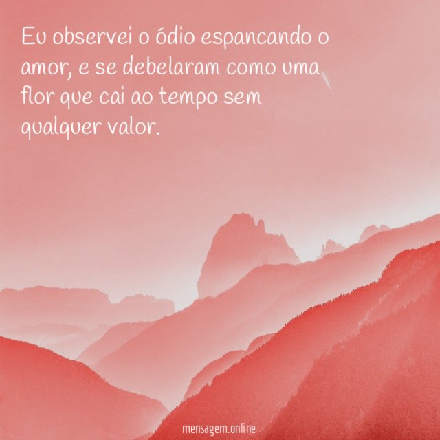 Eu observei o ódio espancando o amor