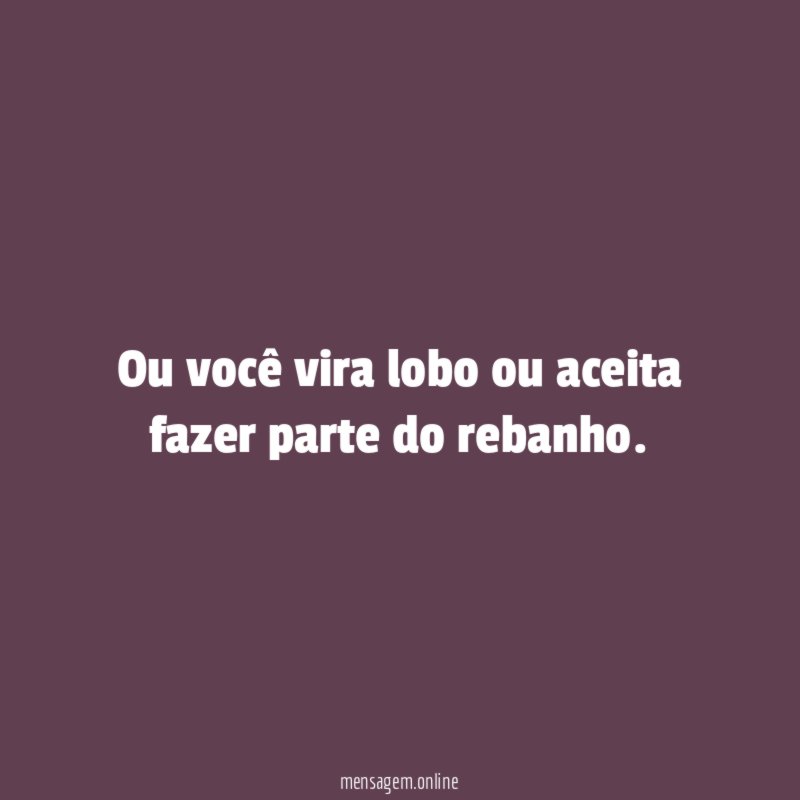 Ou você vira lobo ou aceita fazer parte do rebanho
