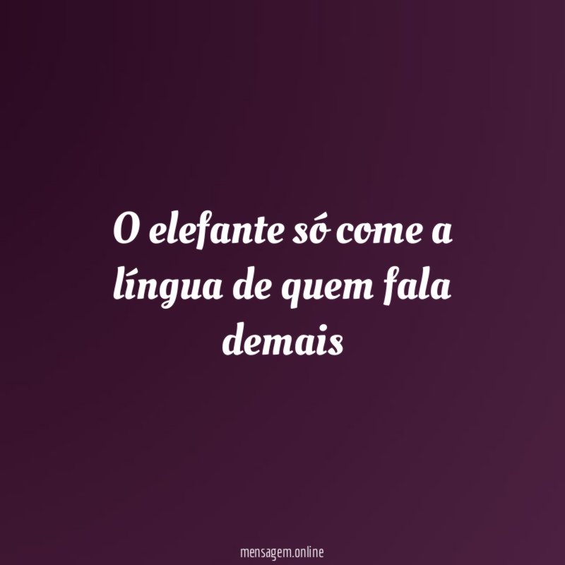 O elefante só come a língua de quem fala demais