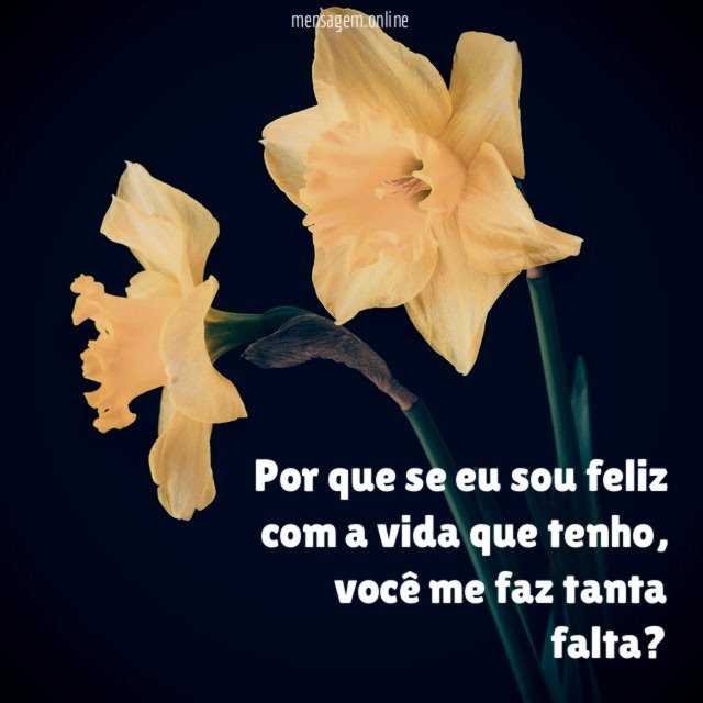 Por que se eu sou feliz com a vida que tenho