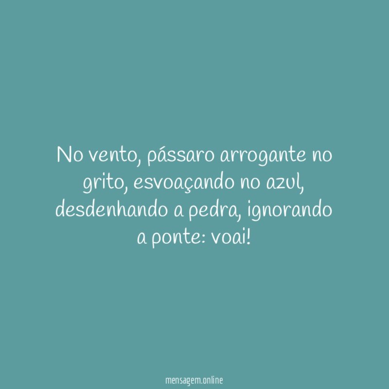 No vento