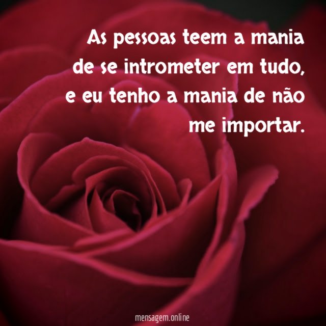 As pessoas teem a mania de se intrometer em tudo