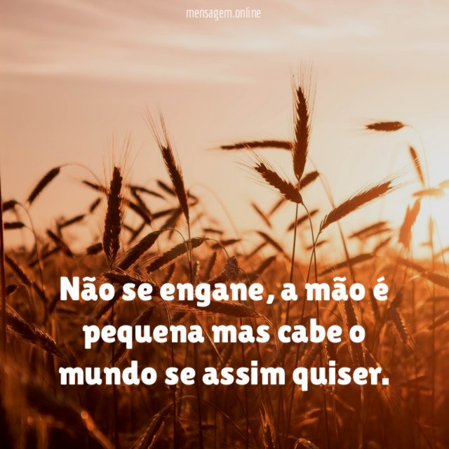 Não se engane