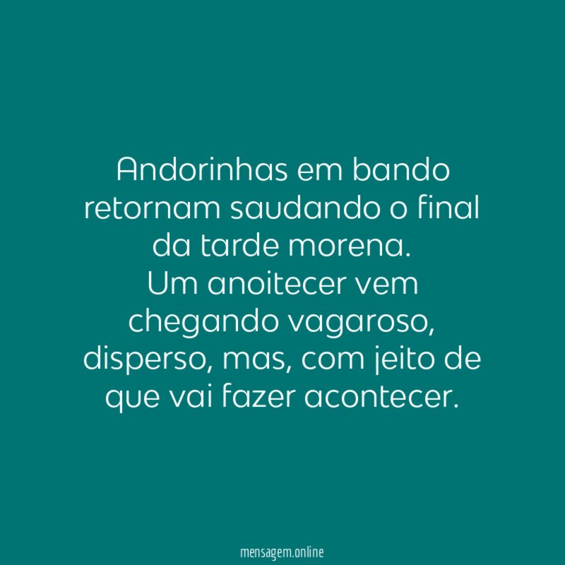 Andorinhas em bando retornam saudando o final da tarde morena