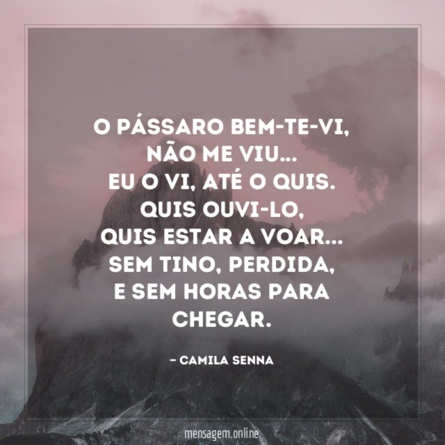O pássaro bem-te-vi