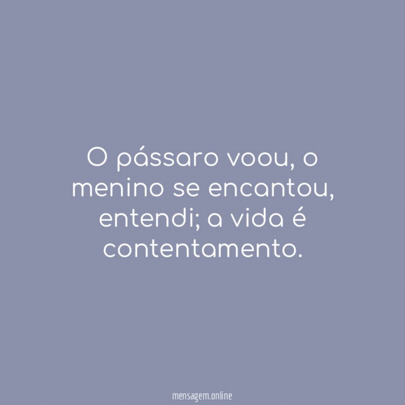O pássaro voou
