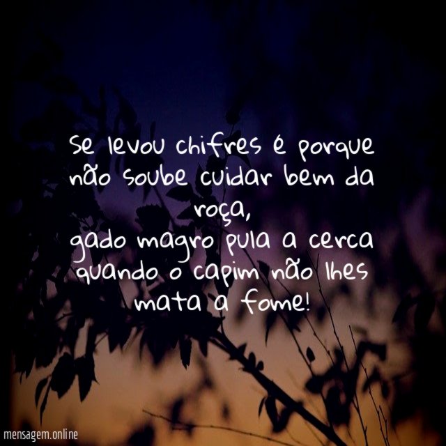 Se levou chifres é porque não soube cuidar bem da roça