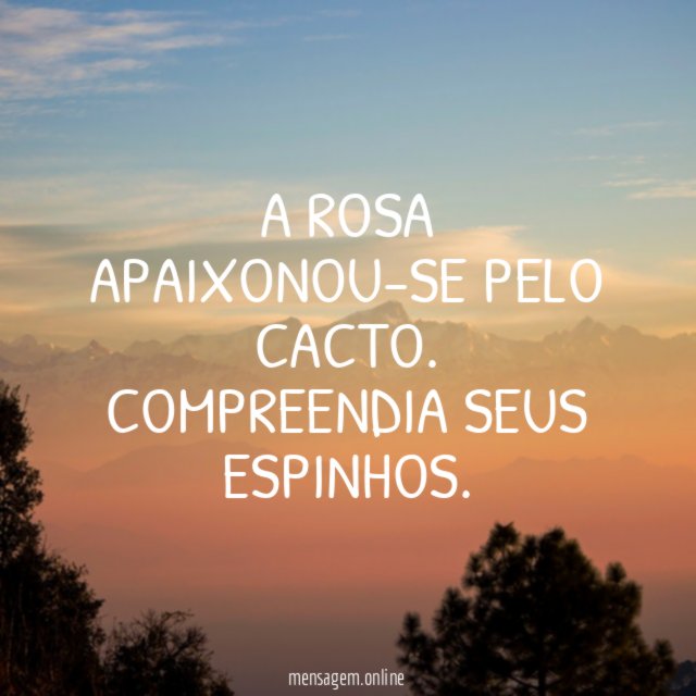 A rosa apaixonou-se pelo cacto