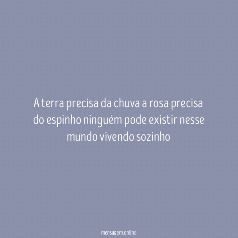 A terra precisa da chuva a rosa precisa