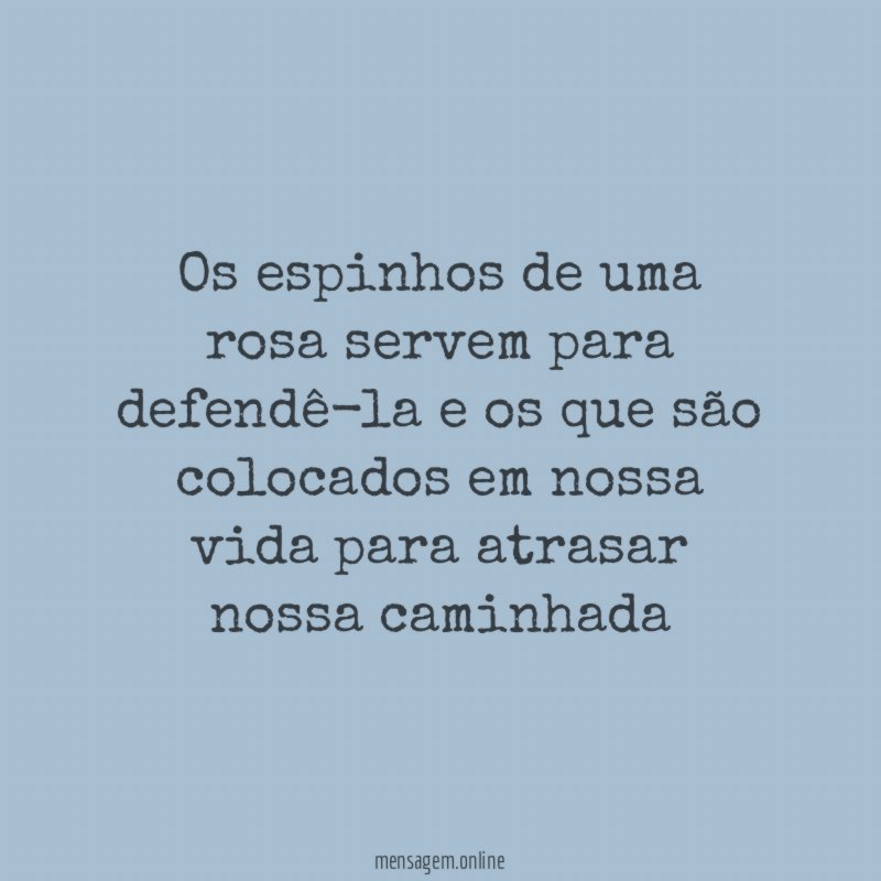 Os espinhos de uma rosa servem para defendê-la