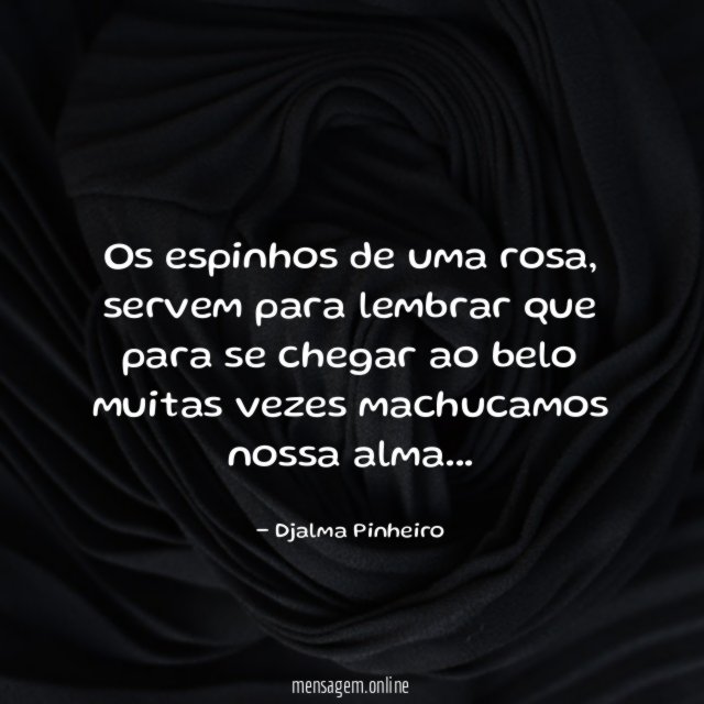 Os espinhos de uma rosa
