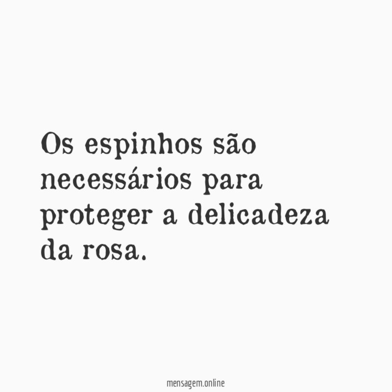 Os espinhos são necessários para proteger a delicadeza da rosa