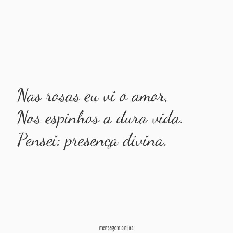 Nas rosas eu vi o amor