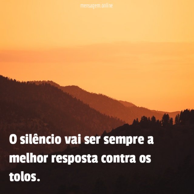 O silêncio vai ser sempre a melhor resposta contra os tolos