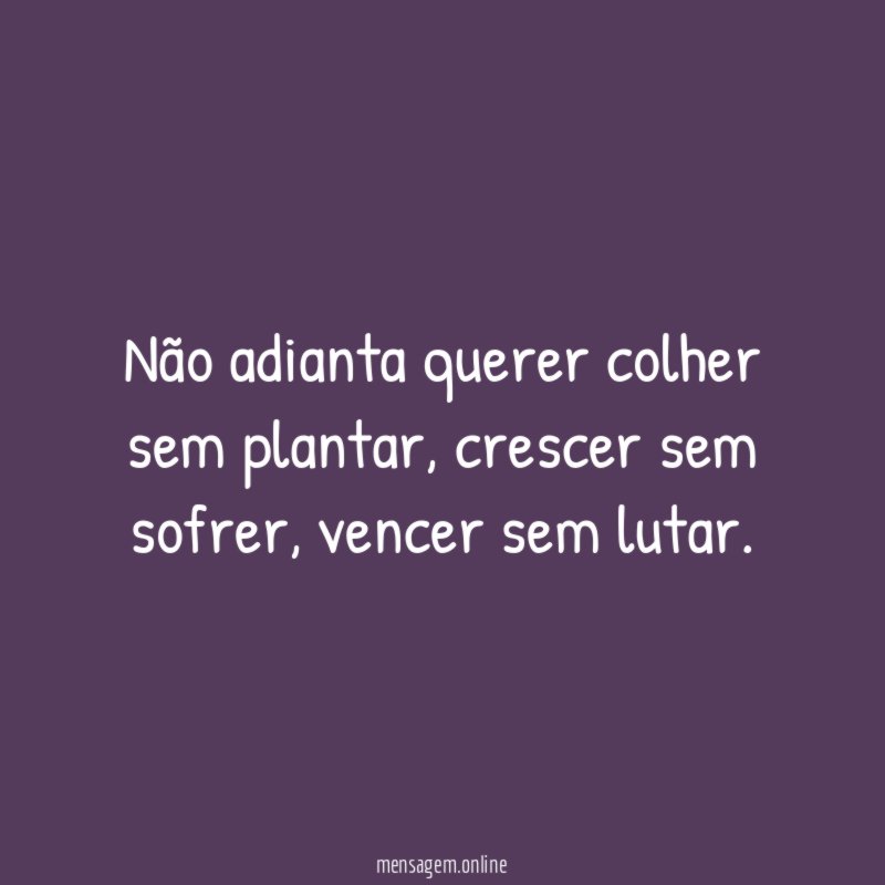 Não adianta querer colher sem plantar
