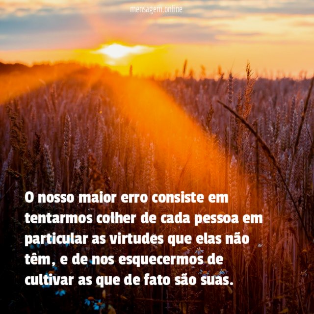 O nosso maior erro consiste em tentarmos colher