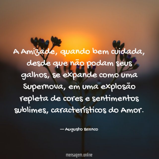 A Amizade