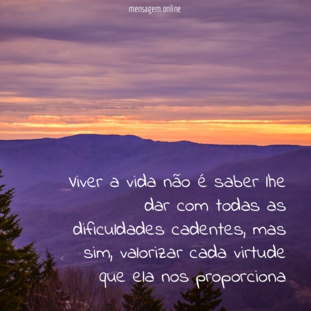Viver a vida não é saber lhe dar