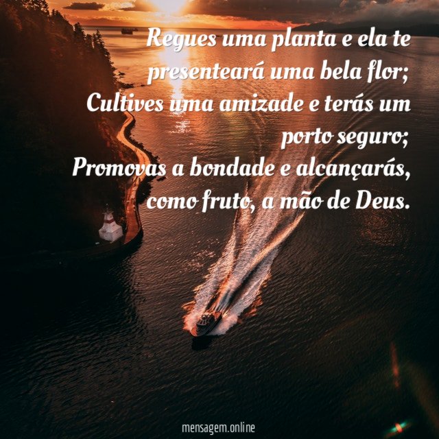 Regues uma planta e ela te presenteará uma bela flor
