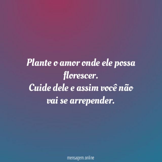 Plante o amor onde ele possa florescer