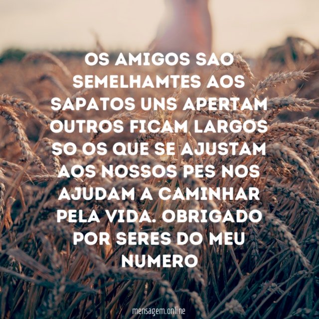 Os amigos sao semelhamtes aos sapatos uns apertam