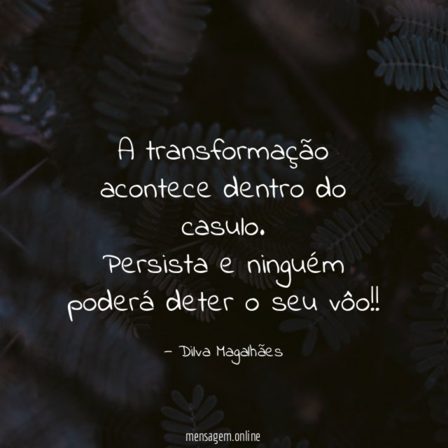 A transformação acontece dentro do casulo