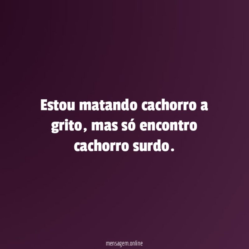 Estou matando cachorro a grito