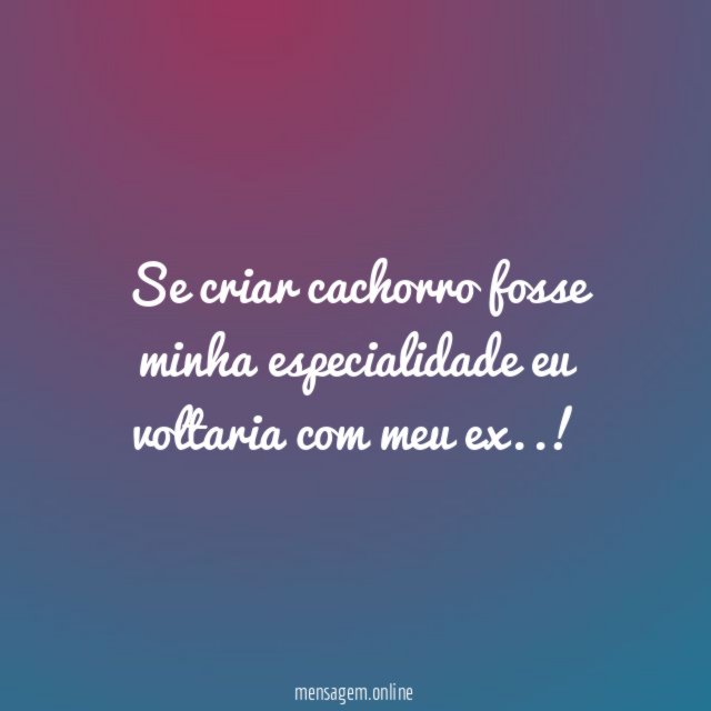 se criar cachorro fosse minha especialidade eu voltaria com meu ex