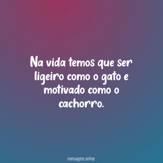 Na vida temos que ser ligeiro como