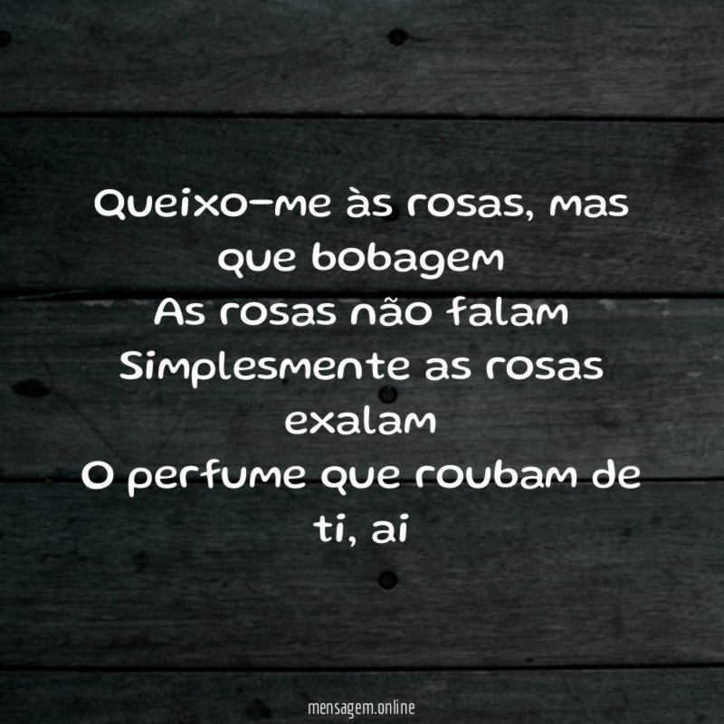 Queixo-me às rosas