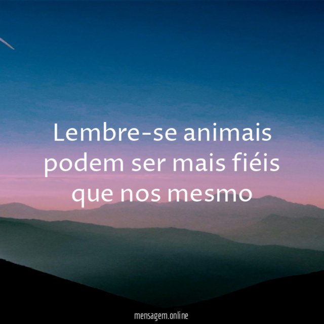 Lembre-se animais podem ser mais fiéis que nos mesmo”