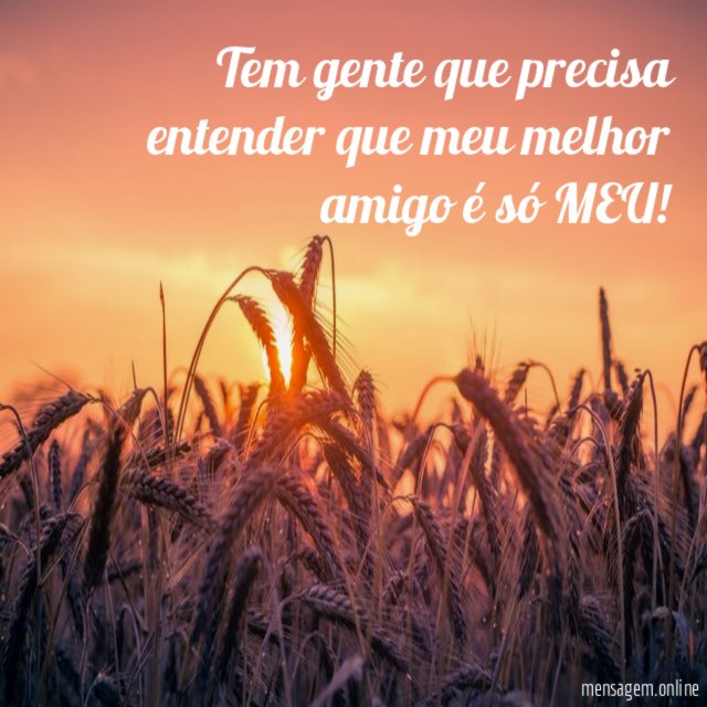 Tem gente que precisa entender que meu melhor amigo é só MEU