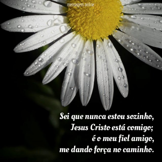 Sei que nunca estou sozinho