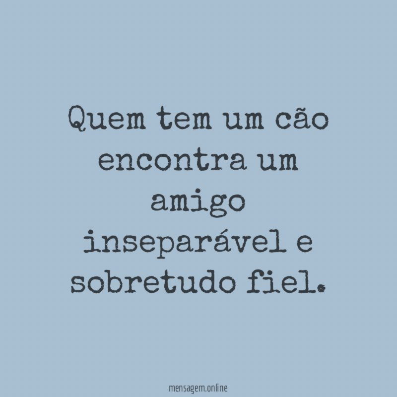Quem tem um cão encontra um amigo inseparável
