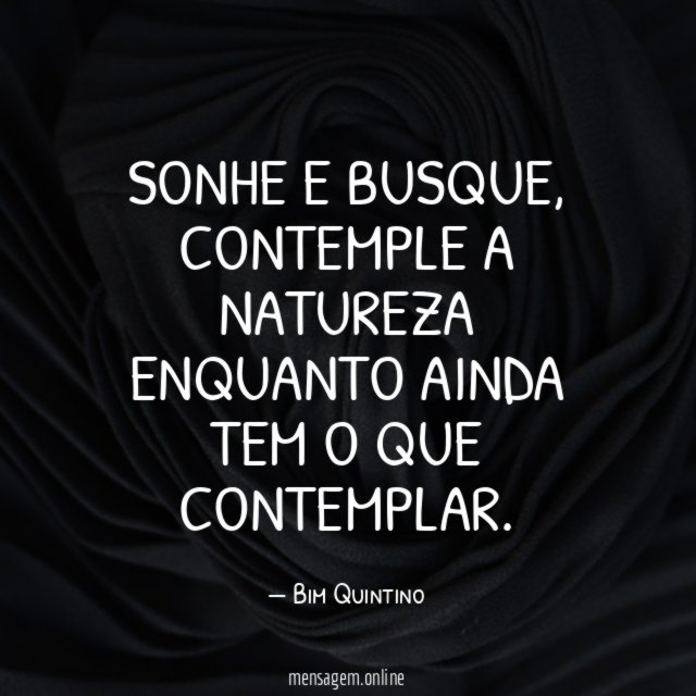 Sonhe e busque