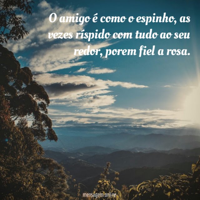 O amigo é como o espinho