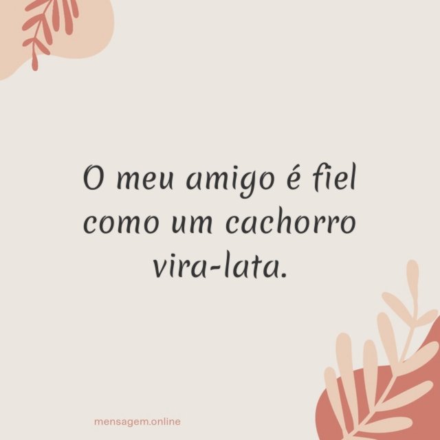 O meu amigo é fiel como um cachorro vira-lata