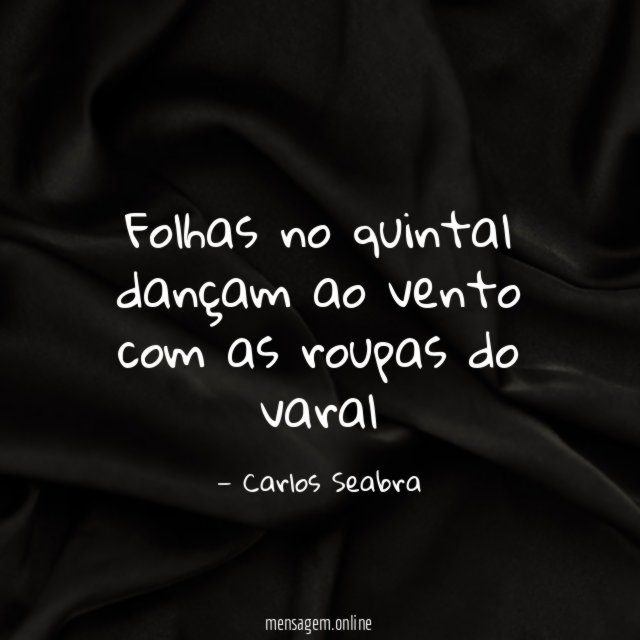 folhas no quintal dançam ao vento com as roupas do varal