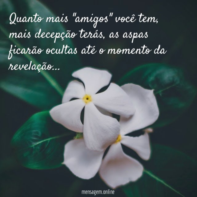 Quanto mais "amigos" você tem
