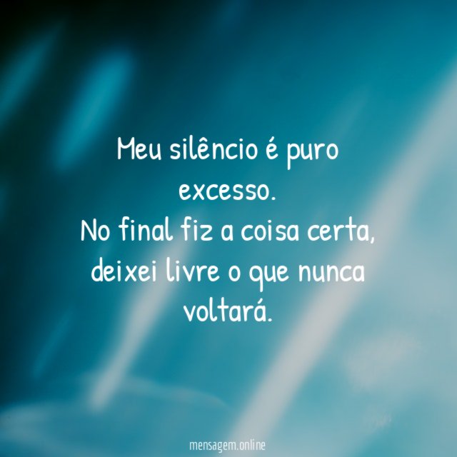 Meu silêncio é puro excesso