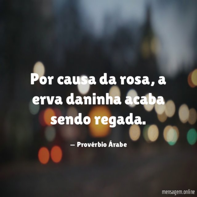 Por causa da rosa