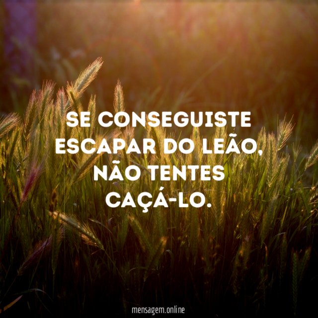 Se conseguiste escapar do leão